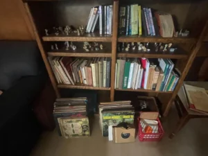 A wooden bookshelf with books and figurines, vinyl records stacked below, and a red crate with miscellaneous items.