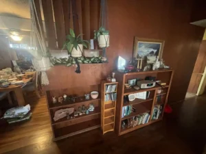 Wood-paneled room with bookshelves, hanging plants, decorative items, and a glimpse of a dining table to the left.